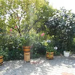 Bed & Breakfast Arpad Panzio *