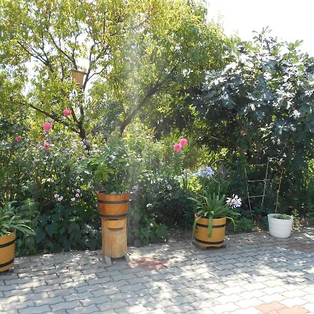 Bed & Breakfast Arpad Panzio *