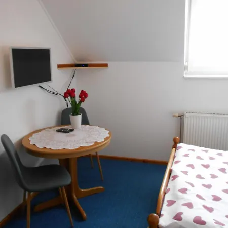 فندق مبيت وإفطار Arpad Panzio غيور