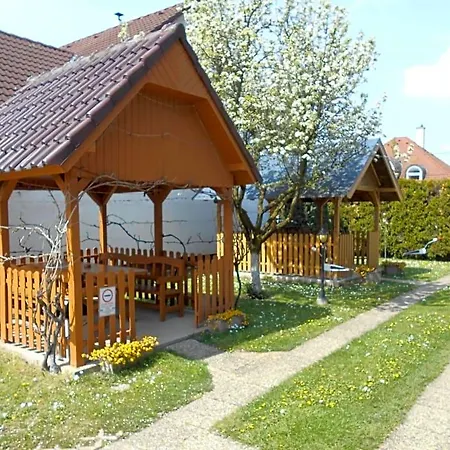 Arpad Panzio Győr